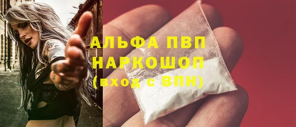 индика Лагань