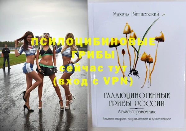 индика Лагань