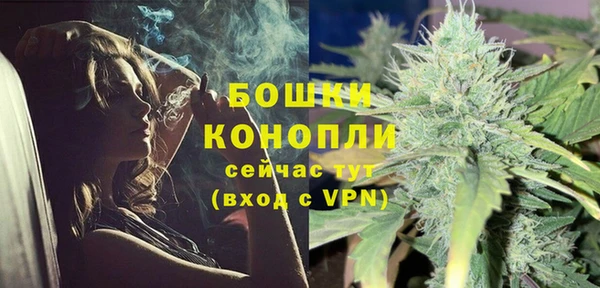 индика Лагань